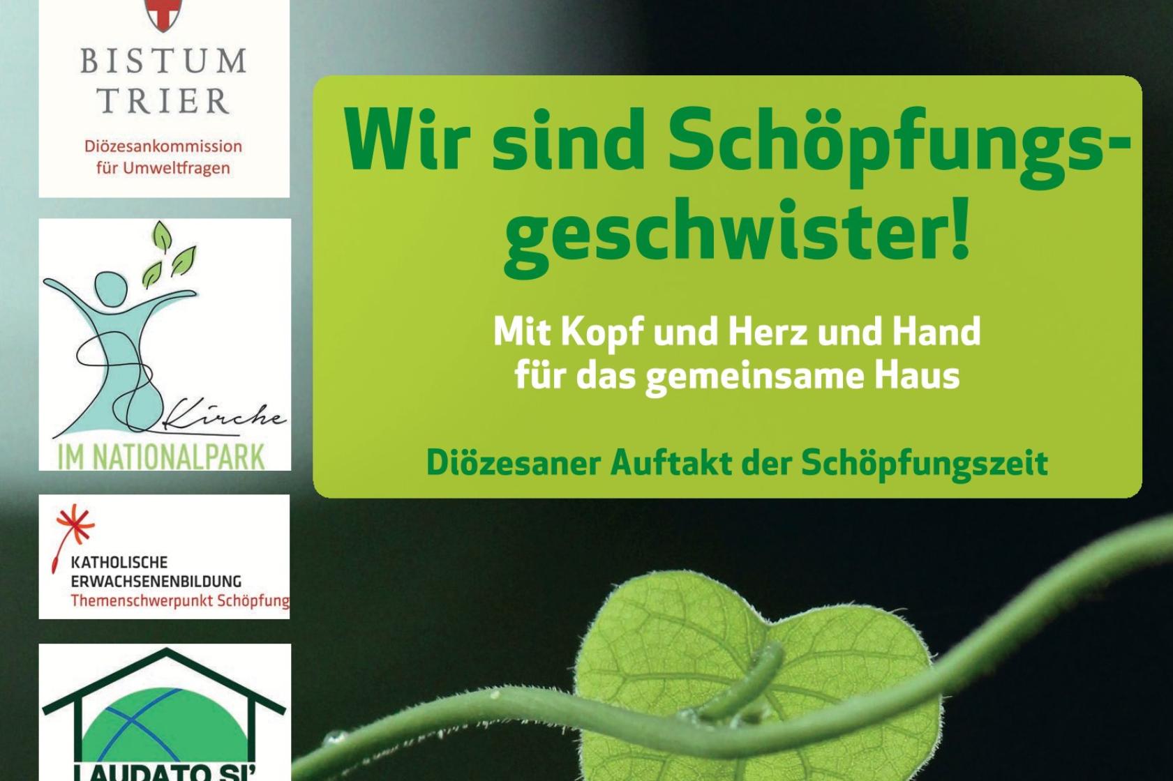 Das Bild zeigt grüne Textfelder vor dunklem Hintergrund mit einem grünen Stengel mit einem Blatt daran. Drumherum sind die Logos verschiedener kirchlicher Institutionen und Hinweise auf das Projekt 'Schöpfungszeit'