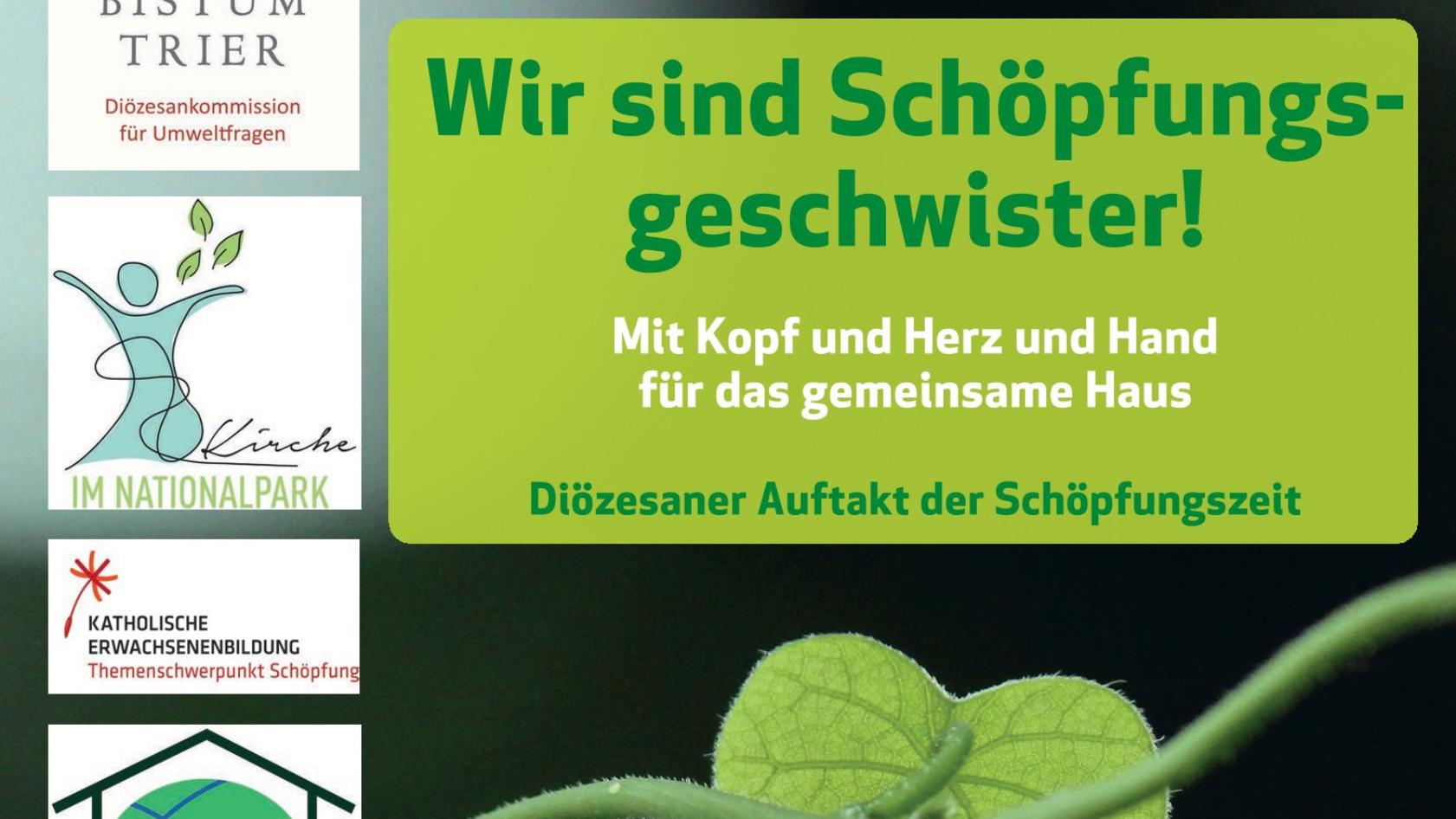 Das Bild zeigt grüne Textfelder vor dunklem Hintergrund mit einem grünen Stengel mit einem Blatt daran. Drumherum sind die Logos verschiedener kirchlicher Institutionen und Hinweise auf das Projekt 'Schöpfungszeit'