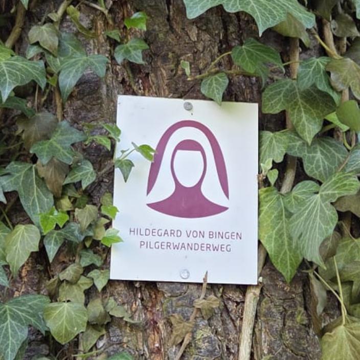 Das Bild zeigt das Wanderzeichen des Hildegard-Pilgerweges an einem efeubewachsenen Baum