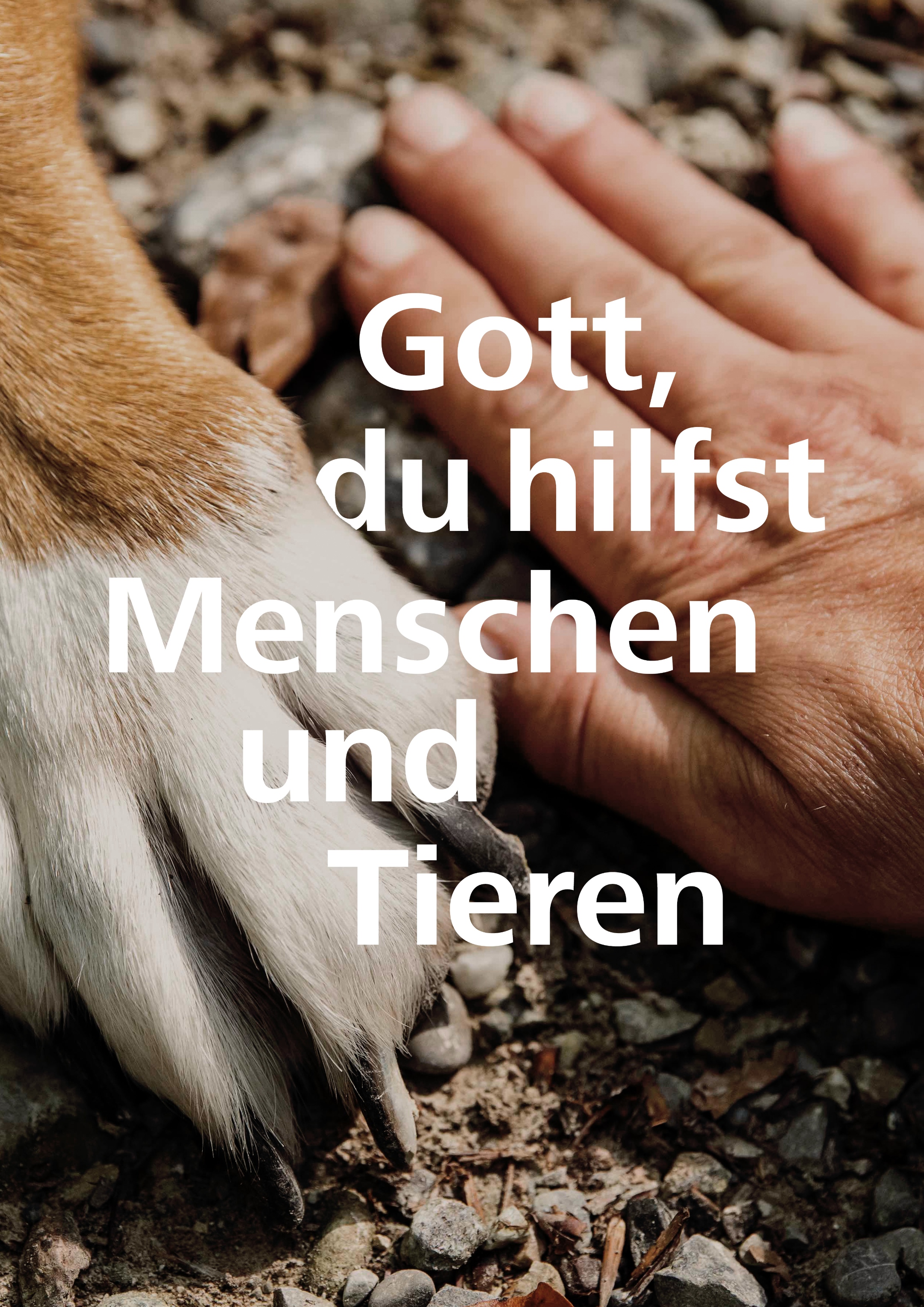 Plakat-Schoepfungswoche2025